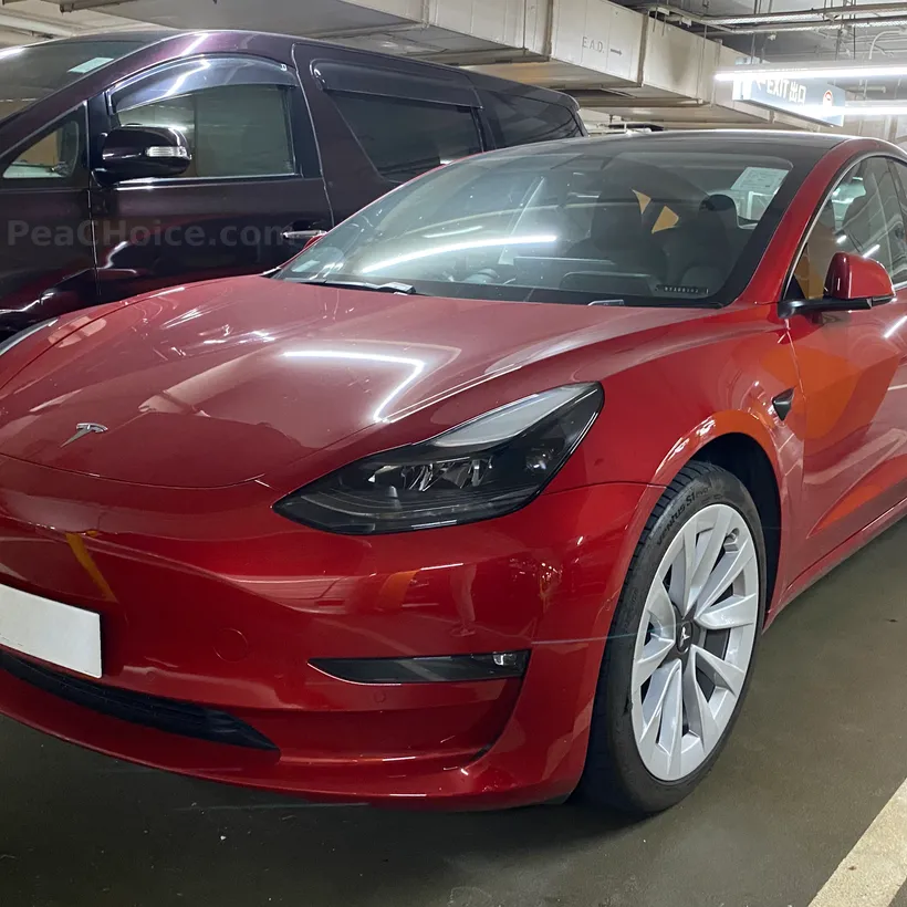 Tesla Model S 2019